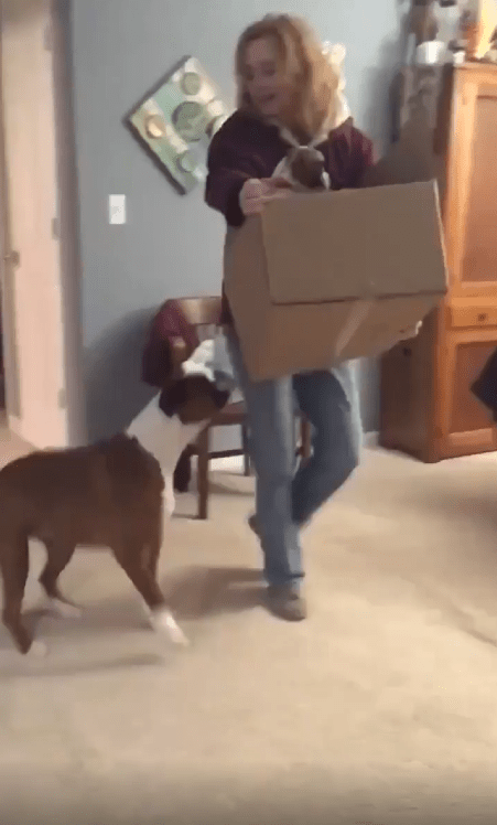 출처 : Reddit / 여성이 박스를 들고 들어온다