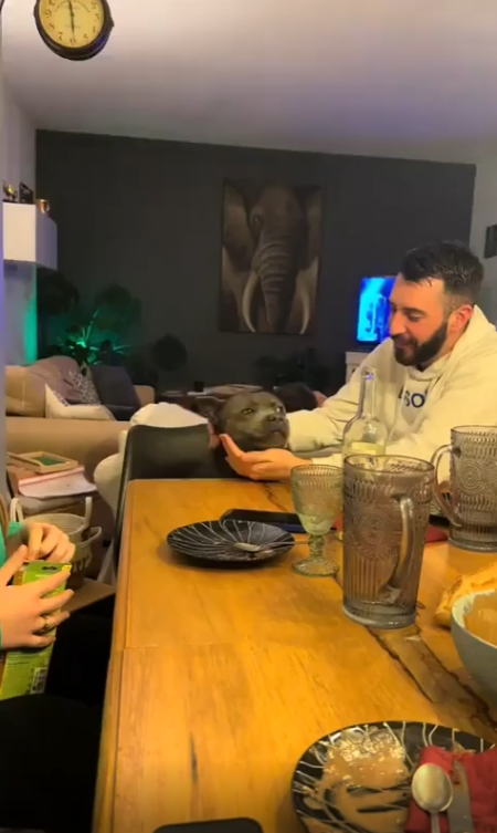 출처 : Reddit / 검은 개 한마리와 남성이 포옹을 하려 한다