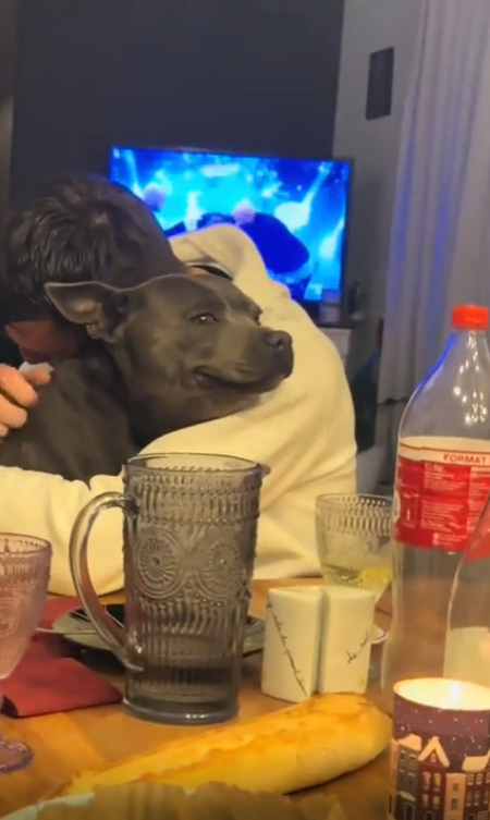 출처 : Reddit / 개의 표정이