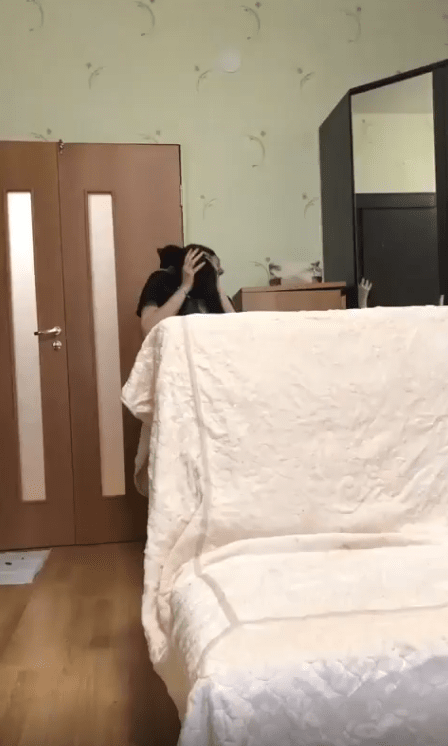 출처 : Reddit / 주인에게 안기는 고양이