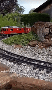 “멈춰라, 꼬마 기차!” 장난감 기차를 맨몸으로 막아선 고양이