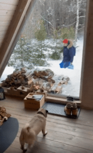 기쁨이 너무 컸나 봐! 주인을 향해 달려가다 유리창에 부딪힌 강아지