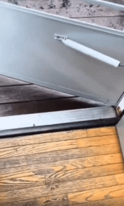 화분에서 발견된 강아지의 비밀