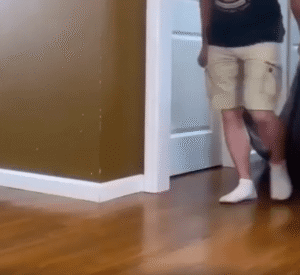 왕의 입장 준비 완료! 카펫 위에 앉은 강아지의 위엄