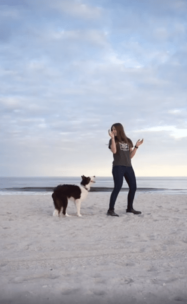 출처 : Reddit / 모래사장 위에서 여성와 강아지가 있다