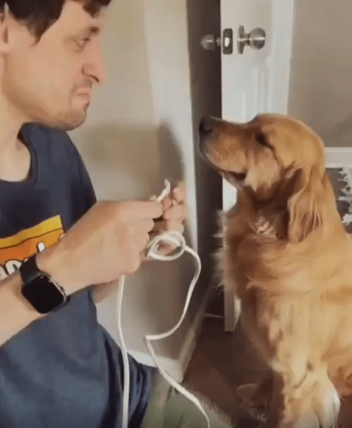 출처 : Reddit / 전선을 끊어 먹은 범인 앞에있는 주인