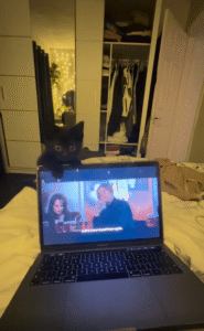 조용한 방해, 새끼 고양이의 애정 가득한 시위