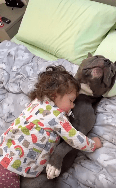 출처 : Reddit / 강아지를 껴안고 자는 아기