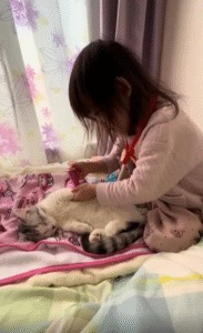 분홍빛 의사 선생님과 얌전한 고양이 환자, 조용한 진료의 시간