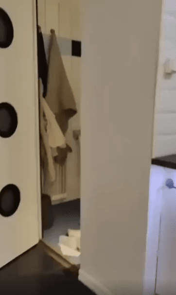 출처 : Reddit / 좁은 화장실 바닥에 휴지가 길게 뽑아져있다