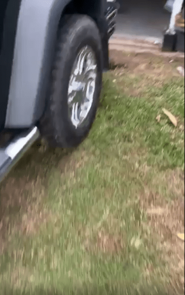 출처 : Reddit / 주인 차앞으로 이동중