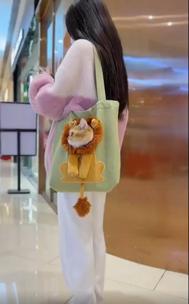 출처 : Reddit / 사자그림이 그려진 백에 사자얼굴이 구멍이 나있고 거기에 고양이가 얼굴을 내밀었다