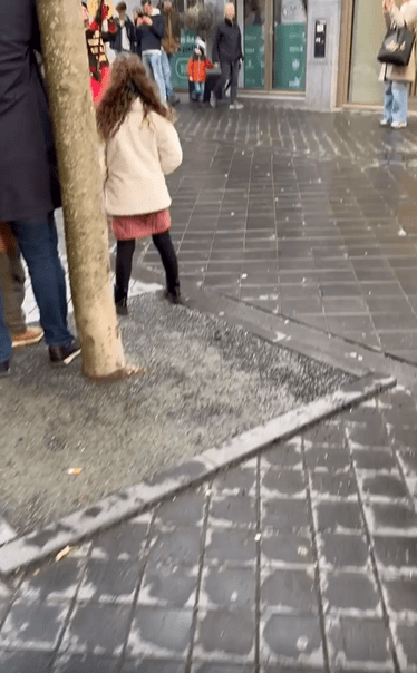 출처 : Reddit / 작은 퍼레이드가 진행중이다