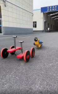 “이 정도면 사이클리스트” 두 발로 페달 밟으며 전진하는 앵무새의 놀라운 스킬