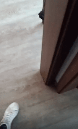 출처 : Reddit / 거실에 들어가자