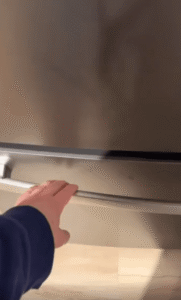 주인이 던진 얼음 위에 온몸을 덮은 강아지의 완벽한 쿨링 자세