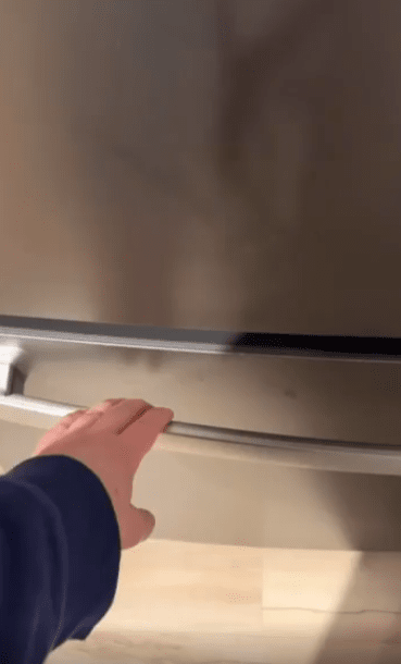 출처 : Reddit / 주인이 냉동실에서 얼음을 꺼낸다