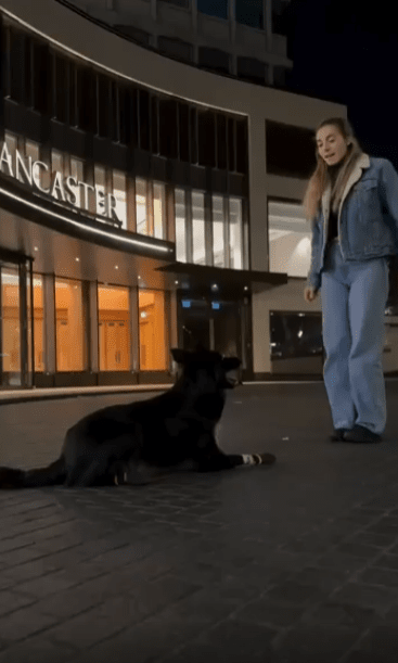 출처 : Reddit / 호텔 건물앞에 여성과 강아지가 있다