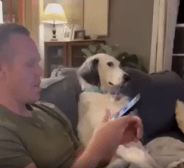 출처 : Reddit / 주인과 강아지가 소파에 앉아있다