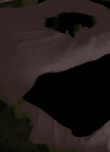 “불 켰다고 왜 이렇게 신났어?” – 불빛에 반응해 탭댄스를 추는 고양이의 발놀림 쇼