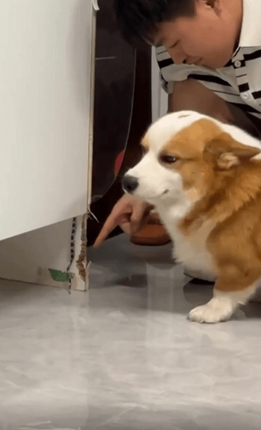 출처 : Reddit / 가구를 누가 뜯어먹었다.