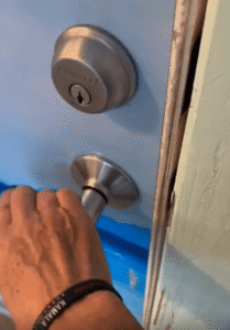 물고기 장난감 잔뜩 물어다 놓고 주인을 기다리는 젖은 강아지