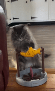 모닥불 위 물고기를 정성스레 굽는 고양이의 셰프 놀이