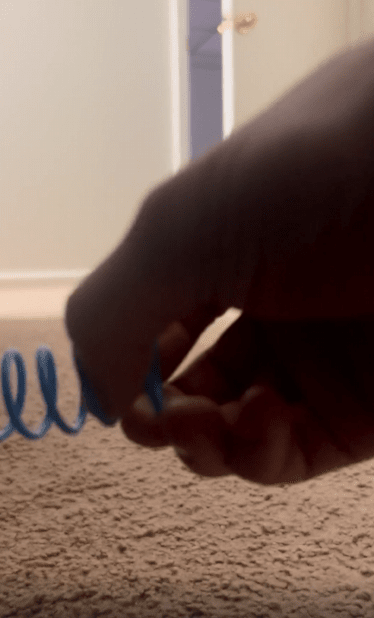 출처 : Reddit / 스프링을 튕기는 소리를 내자 방안으로 들어온 고양이 주인이 스프링을 고양이 쪽으로 던져주자 고양이는 스프링을 향해 달려든다