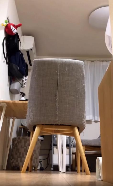 출처 : Reddit / 검은색 고양이가 달려와 카메라앞으로 얼굴을 가까이 클로즈업시키고 눈을 동그랗게 크게 뜬체 카메라와 눈을 맞춘다