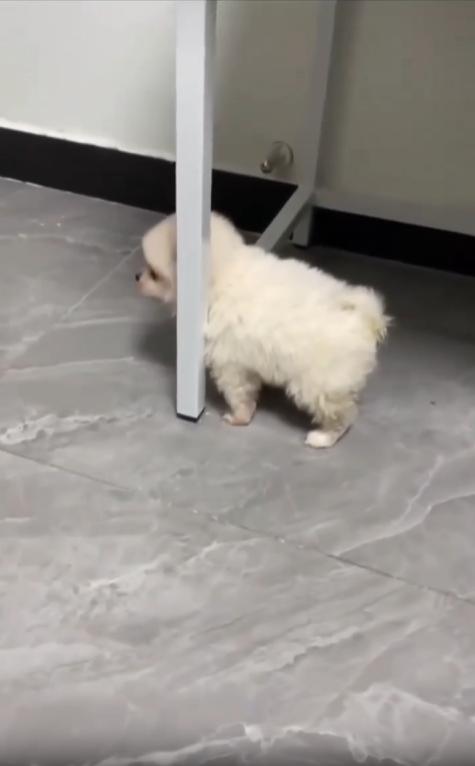 출처 : Reddit /  .