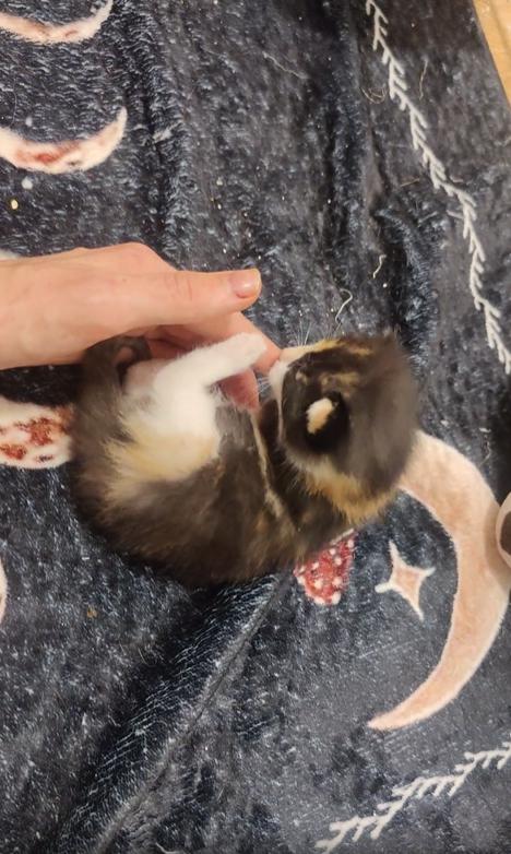 출처 : Reddit /  .