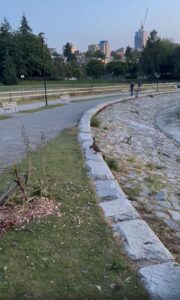 난간 아래, 엄마 오리는 기다리고 있었습니다