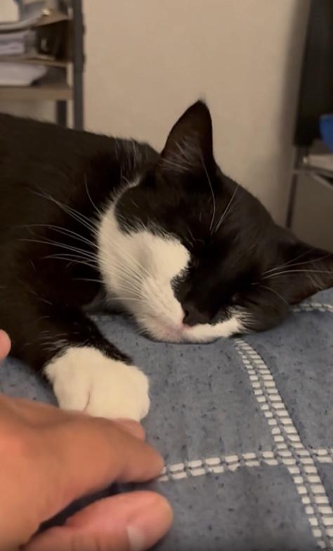 출처 : Reddit /  .