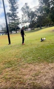 이 정도면 선수지! 공놀이 실력 만렙 강아지의 골든 드리블