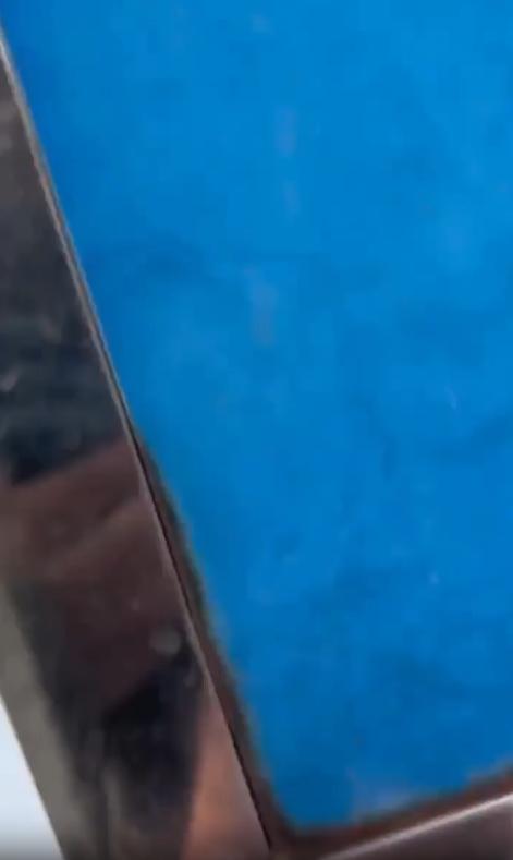 출처 : Reddit / 주인이 문을 열자 강아지가 꼬리를 흔들며 다가와 주인의 손을 살짝 문다 엉덩이가 흔들릴정도로 꼬리를 흔든다