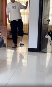 걷는 폼까지 따라 하는 허스키와 사모예드의 귀여운 장난