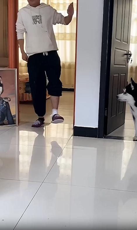 출처 : Reddit / 한쪽 다리를다친듯 주인이 한쪽 발을 들면서 방을 나오자 허스키와 사모예드가 주인을 놀리듯 앞발 한쪽을 든채 다가온다