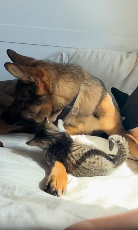 출처 : Reddit /  .