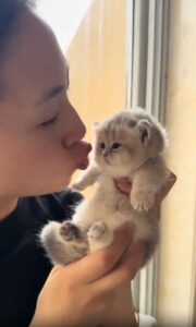 주인의 입술 앞에서 ‘야옹’ 한 마디, 결국 얼굴 뺏긴 새끼 고양이