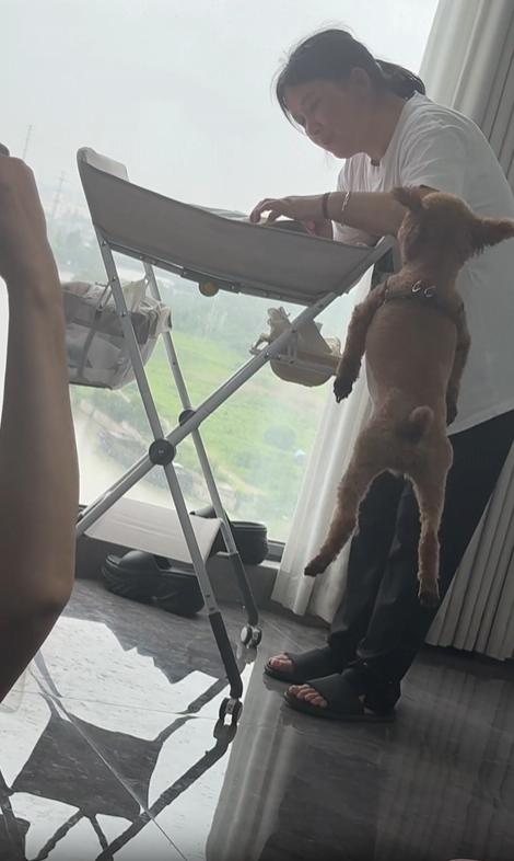 출처 : Reddit / 작은 아기침대 앞에서서 아기를 돌보고 있는 엄마 그옆에는 강아지가 아기를 보고싶은듯 깡총 깡총 뛰고있다