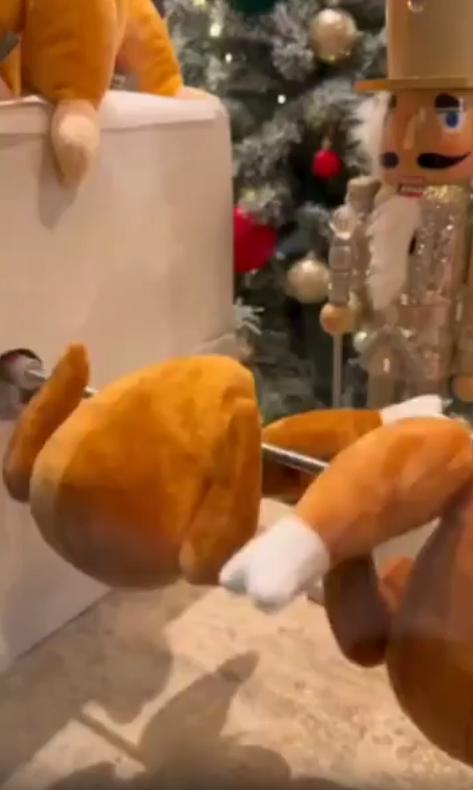 출처 : Reddit / 인형가게 창문앞 창문 안에는 인형으로된 치킨이 돌아가고있고 창문밖에는 강아지가 그 인형을 바라보며 창문을 핥고있다