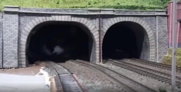 출처 : Reddit / 장난감 기차 터널에서 고양이가 쑥 나온다