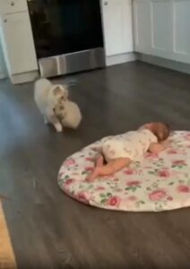 아기와 새끼 고양이를 이어주는 어미 고양이의 특별한 인사