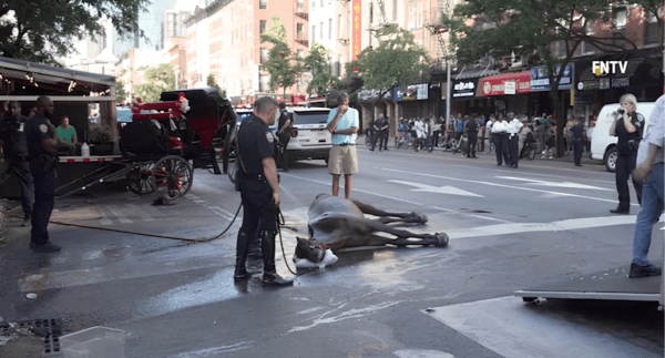 뉴욕 맨해튼 중심가에서 쓰러진 라이더  출처: X